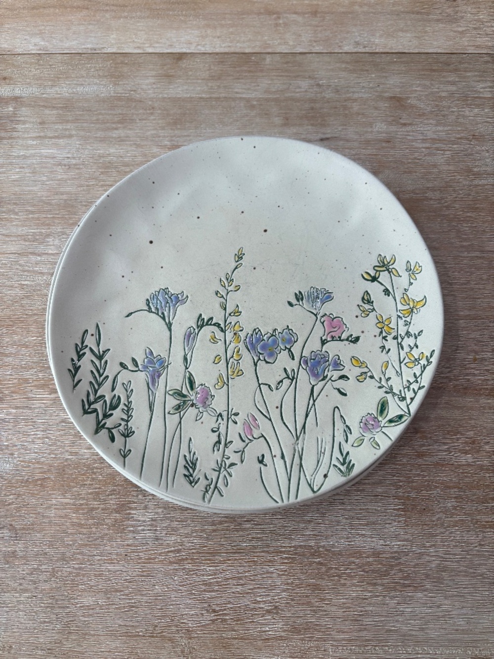 Spectrum Designz Wildflower Pressed Garden Ceramic Dinner Plates - Set of 4
